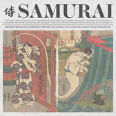 The Samurai Procreate Kit