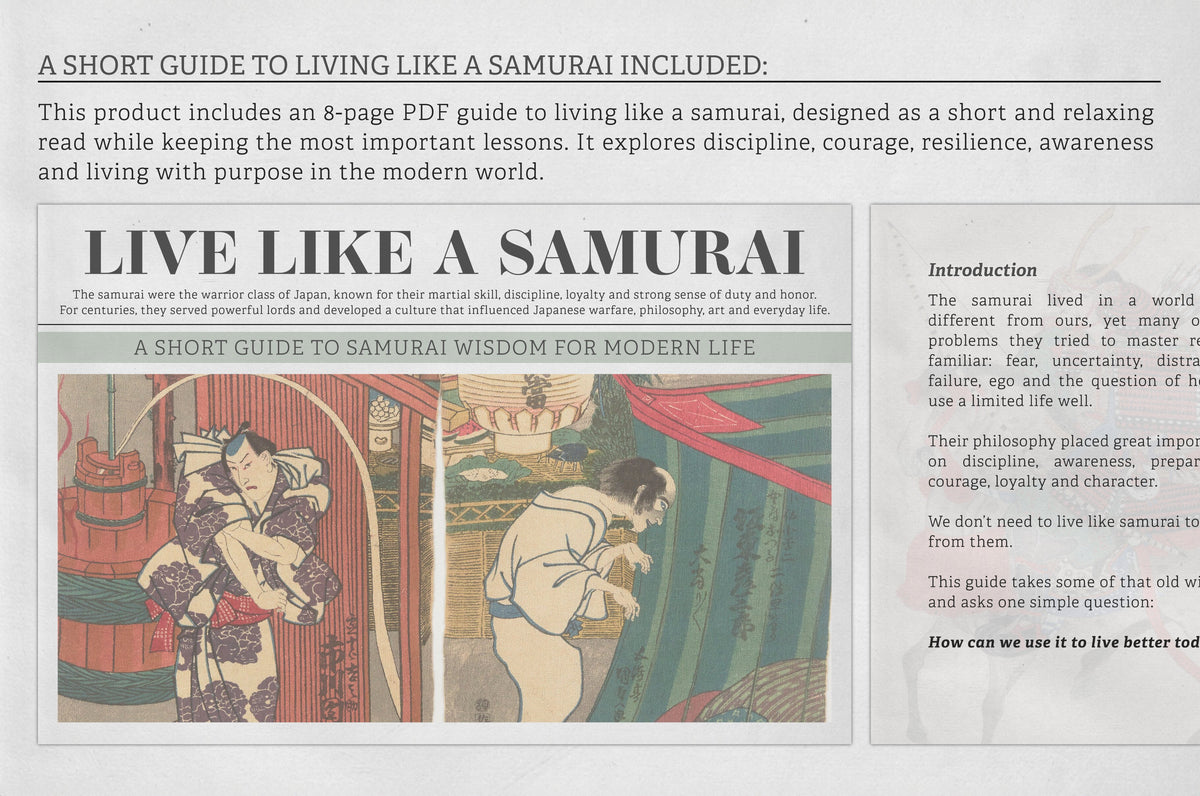 the-samurai-procreate-kit-digi-life-9.jpg