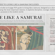 the-samurai-procreate-kit-free-download-digi-life-9.jpg