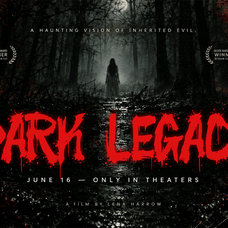 the-silent-murder-cinematic-horror-brush-font-agnyhasyastudio-3.png