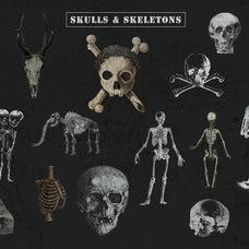 The Skull & Bones Collage Creator