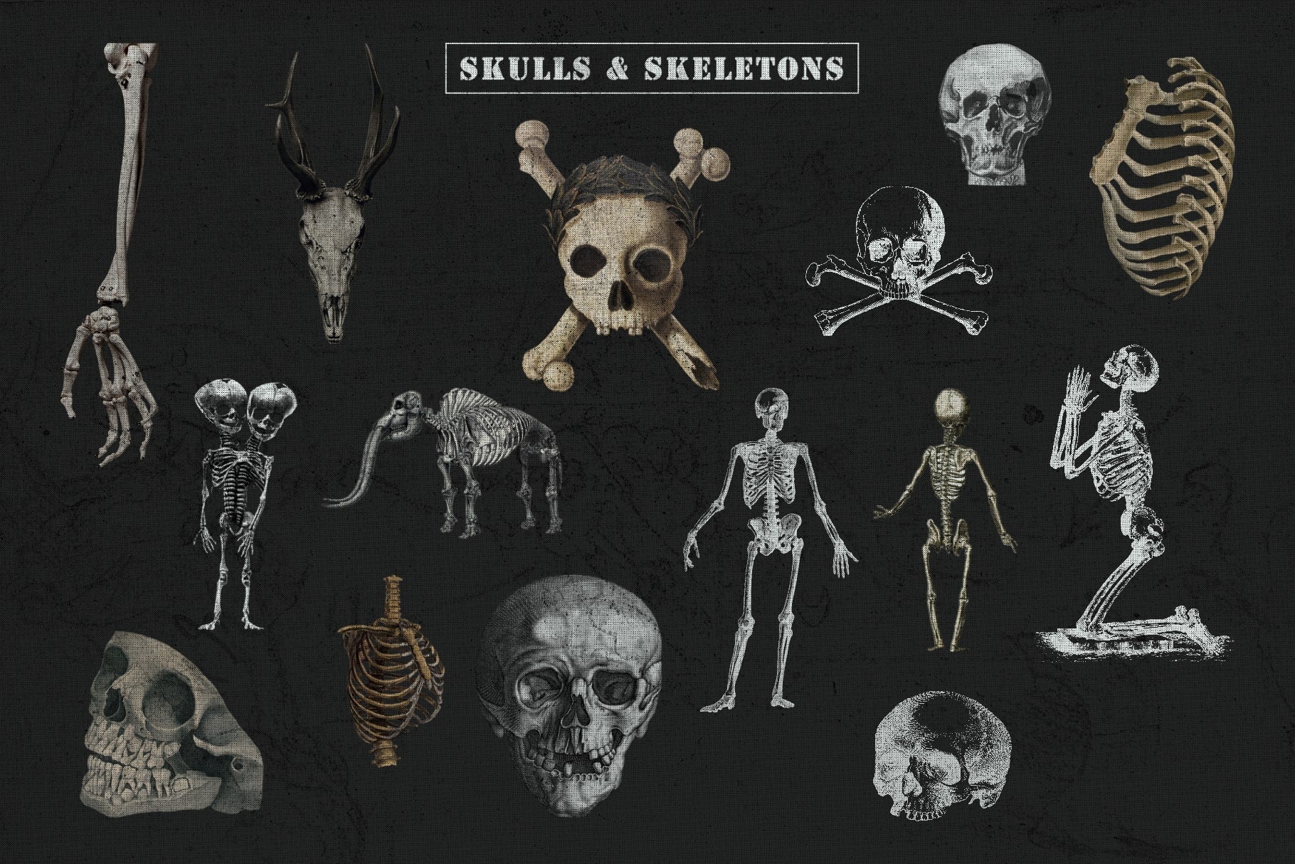 The Skull & Bones Collage Creator
