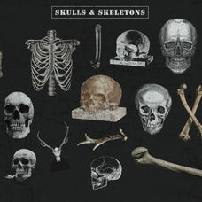 The Skull & Bones Collage Creator