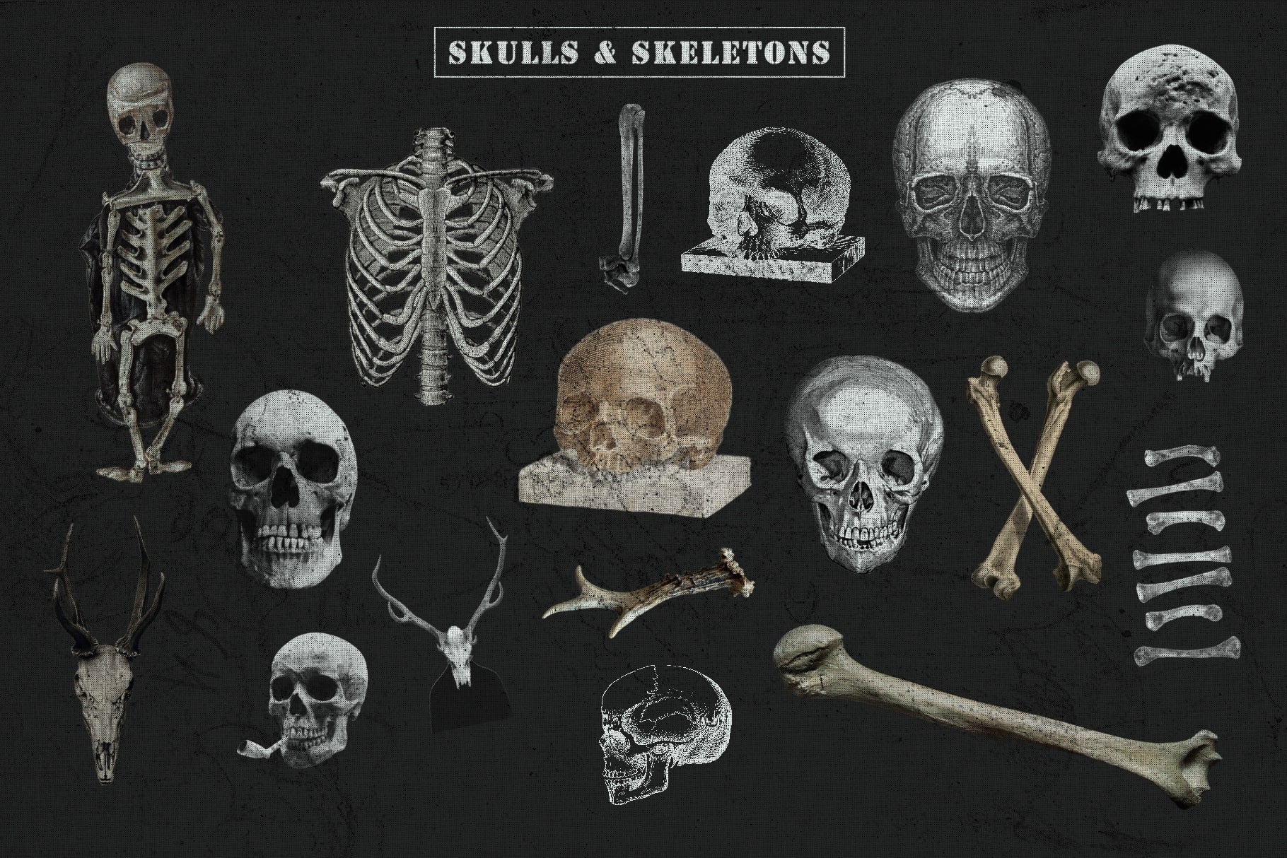 The Skull & Bones Collage Creator