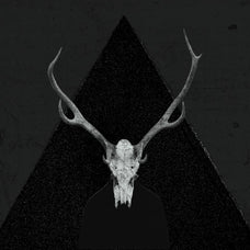 The Skull & Bones Collage Creator