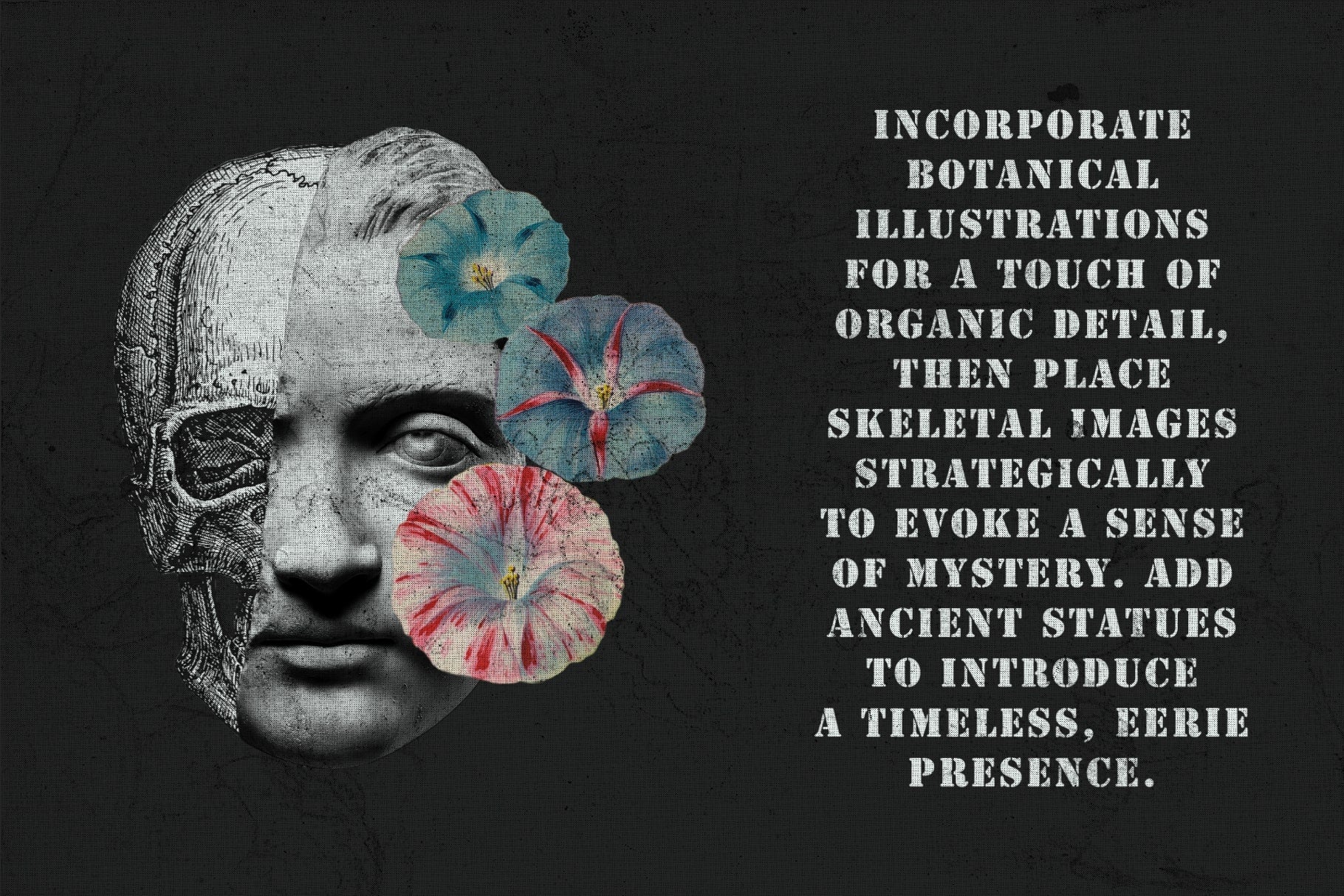 The Skull & Bones Collage Creator