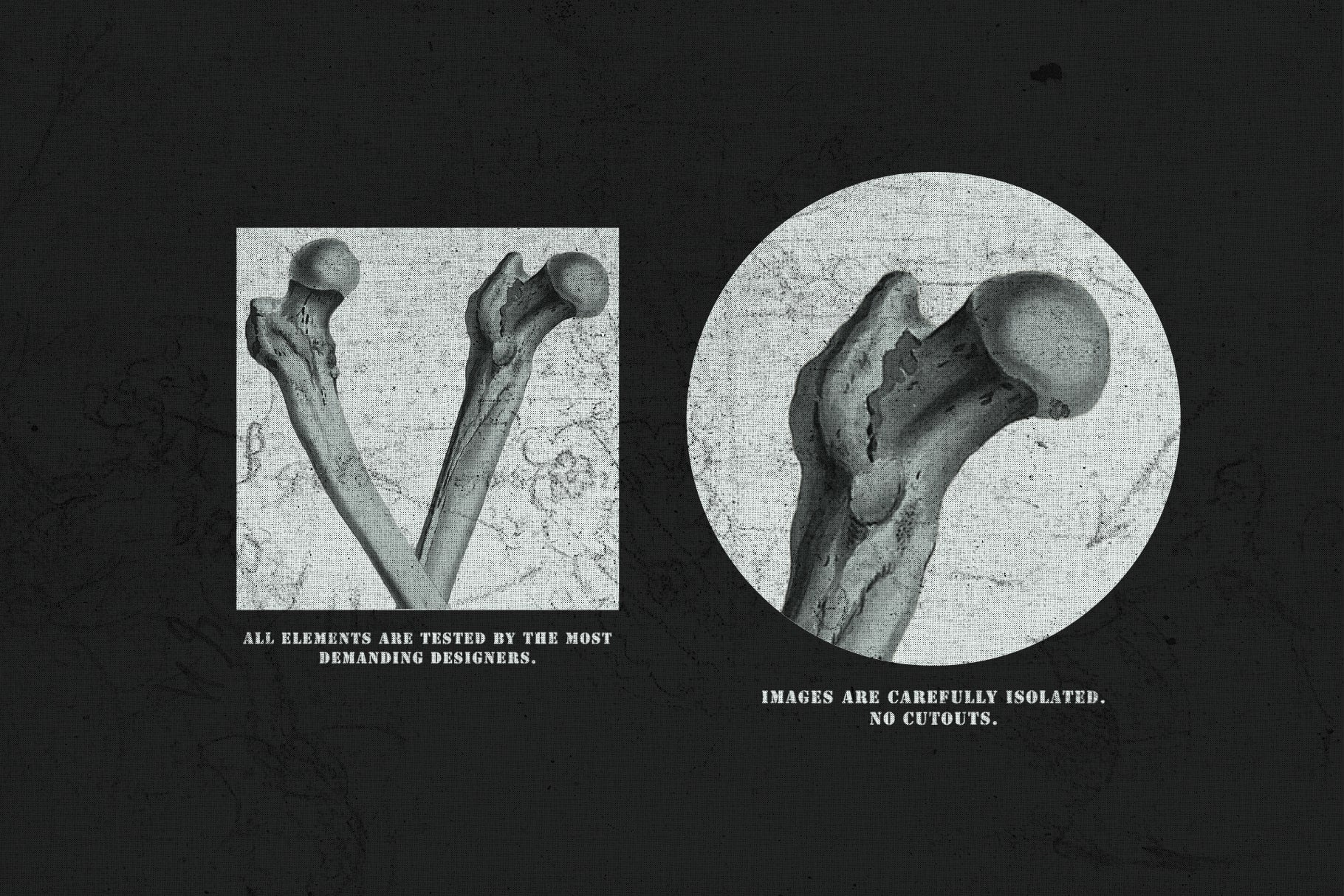 The Skull & Bones Collage Creator