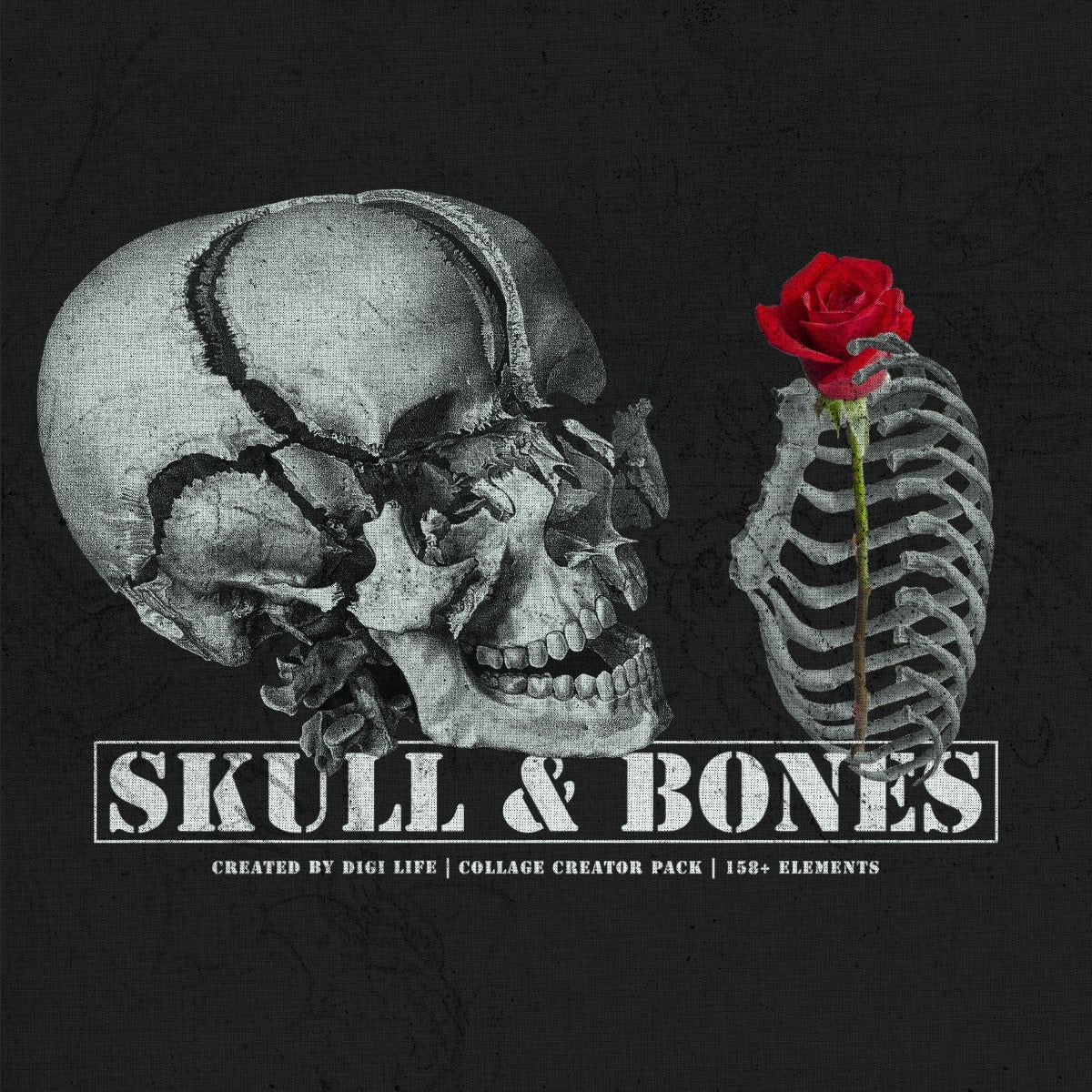 The Skull & Bones Collage Creator