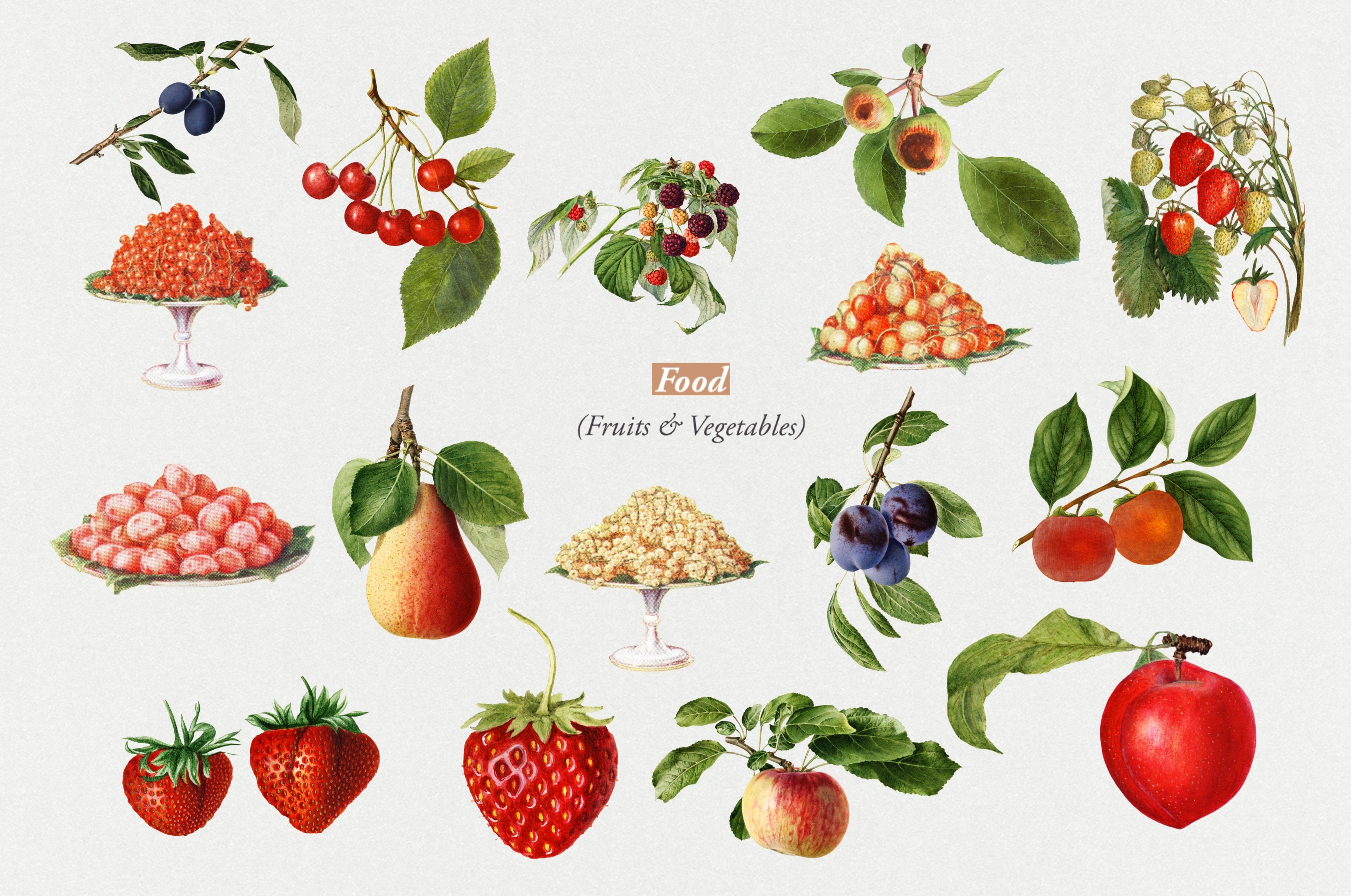 The Vintage Collage Creator - Childhood Memories