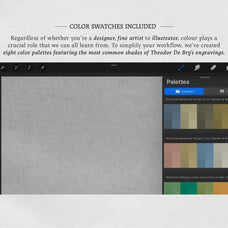 Theodor de Bry Procreate Kit