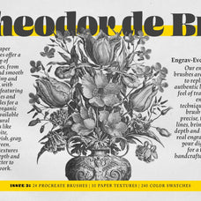 Theodor de Bry Procreate Kit