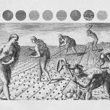 Theodor de Bry Procreate Kit