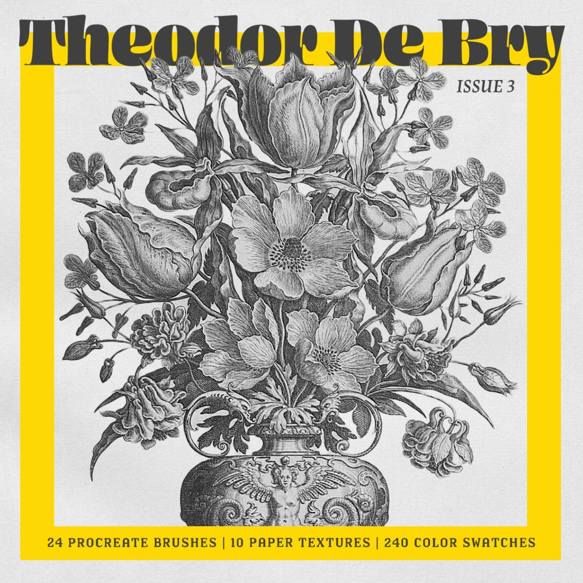 Theodor de Bry Procreate Kit