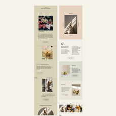 Thyme Newsletter Templates