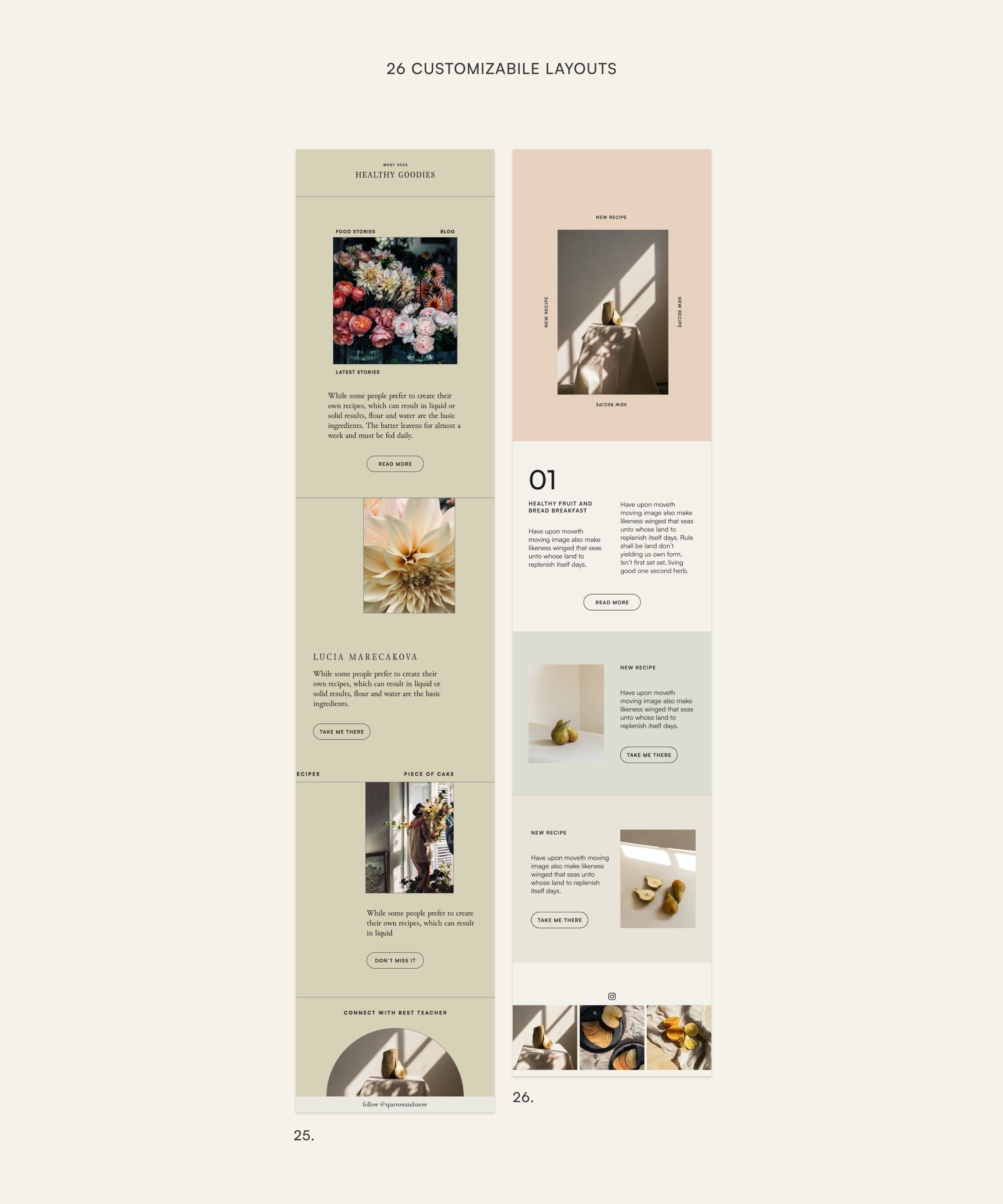 Thyme Newsletter Templates