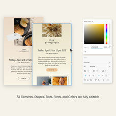 Thyme Newsletter Templates