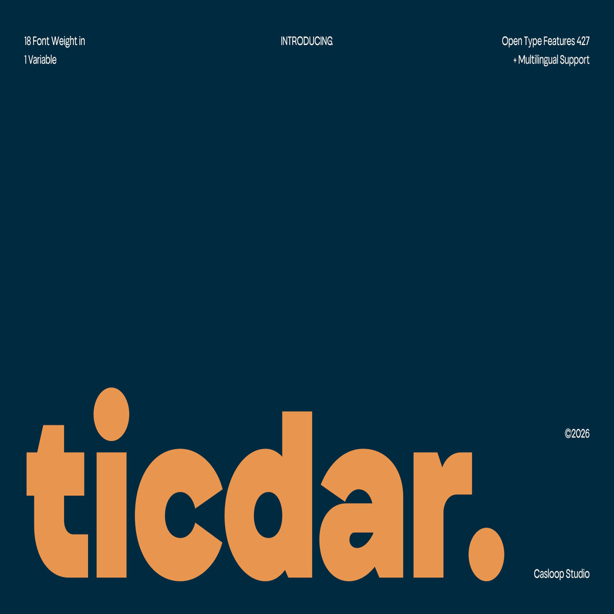 ticdar-editorial-workhorse-typeface-casloop-studio-1.jpg