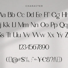 timelees-modern-serif-typeface-font-catalystco-studio-2.jpg