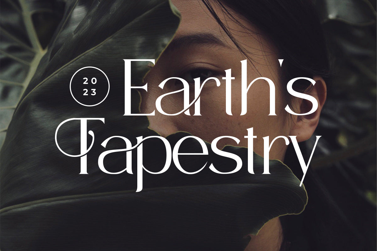 timelees-modern-serif-typeface-font-catalystco-studio-5.jpg