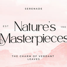 timelees-modern-serif-typeface-font-catalystco-studio-9.jpg