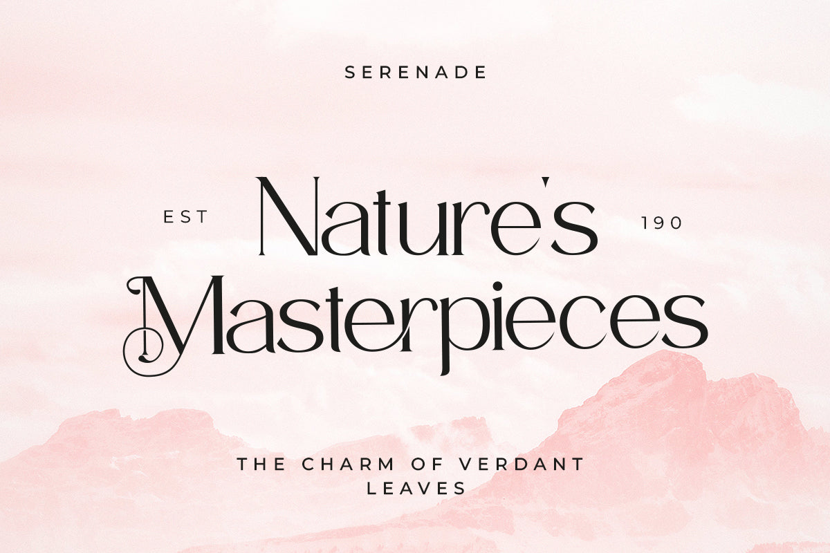 timelees-modern-serif-typeface-font-catalystco-studio-9.jpg