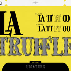 tody-halftone-serif-font-drizy-font-6.jpg