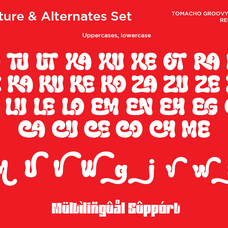 tomacho-groovy-bold-font-say-studio-12.png