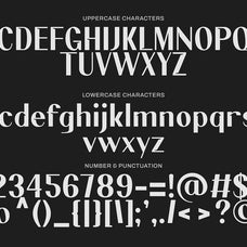 torent-classic-modern-sans-sixtysix-labs-studio-10.jpg