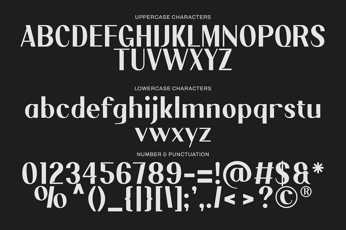 torent-classic-modern-sans-sixtysix-labs-studio-10.jpg