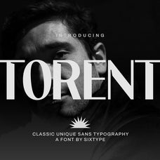 torent-classic-modern-sans-sixtysix-labs-studio-2.jpg