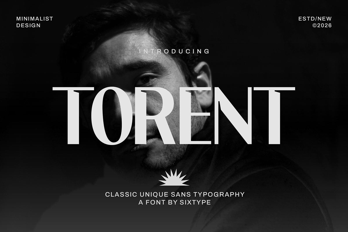 torent-classic-modern-sans-sixtysix-labs-studio-2.jpg