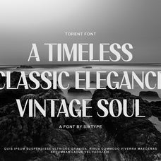 torent-classic-modern-sans-sixtysix-labs-studio-3.jpg