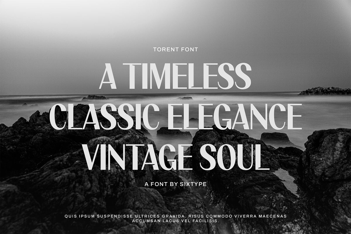 torent-classic-modern-sans-sixtysix-labs-studio-3.jpg