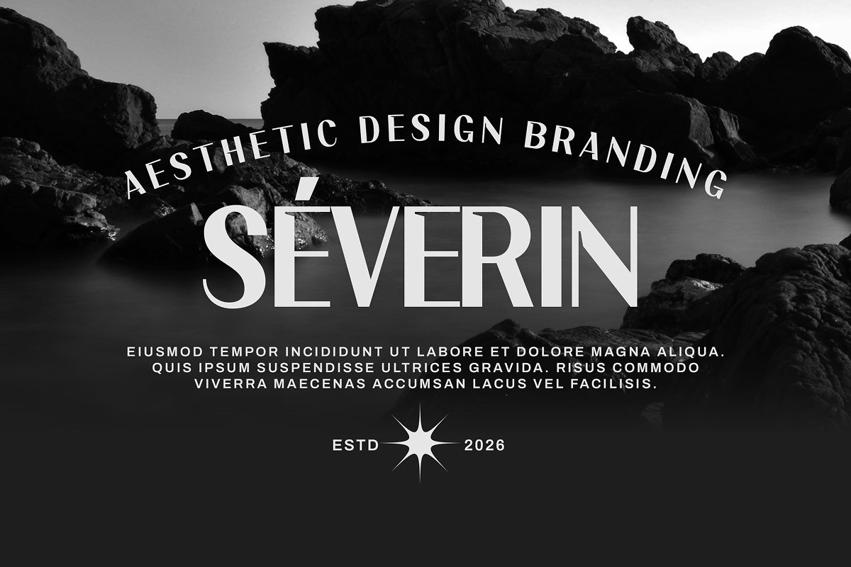 torent-classic-modern-sans-sixtysix-labs-studio-5.jpg
