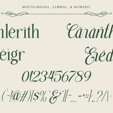 trendsetter-prestige-serif-script-duo-font-say-studio-13.png