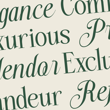 trendsetter-prestige-serif-script-duo-font-say-studio-3.png