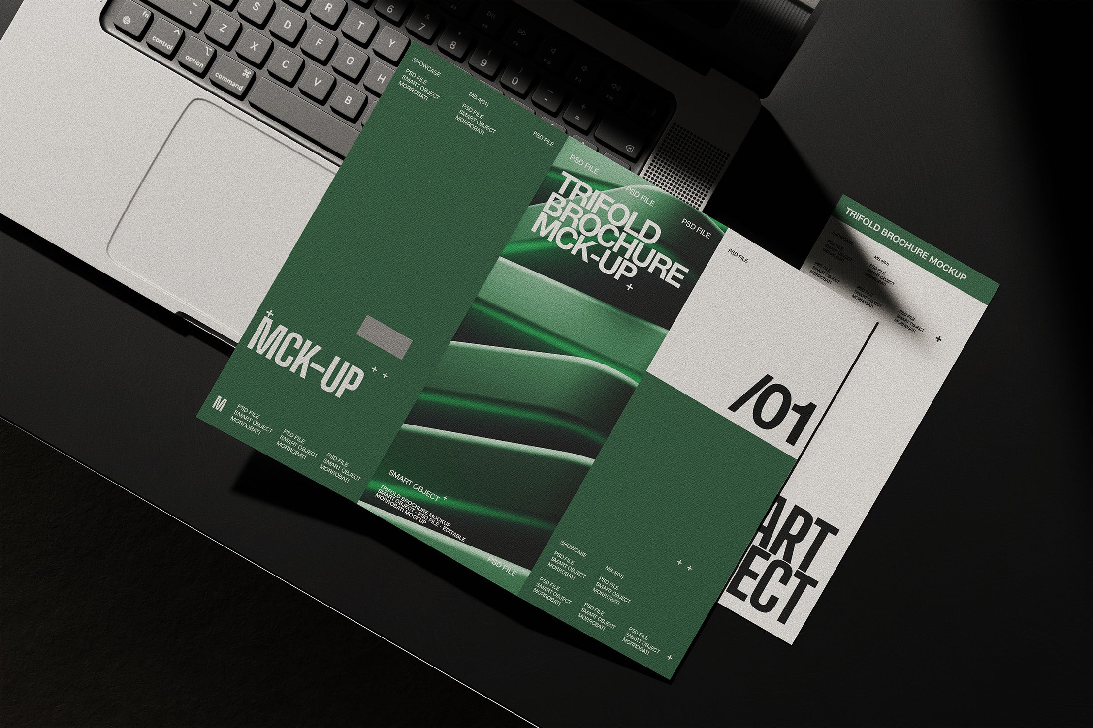 trifold-brochure-mockup-morrobati-3.jpg