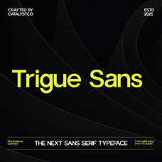 trigue-sans-serif-font-catalystco-studio-1.jpg