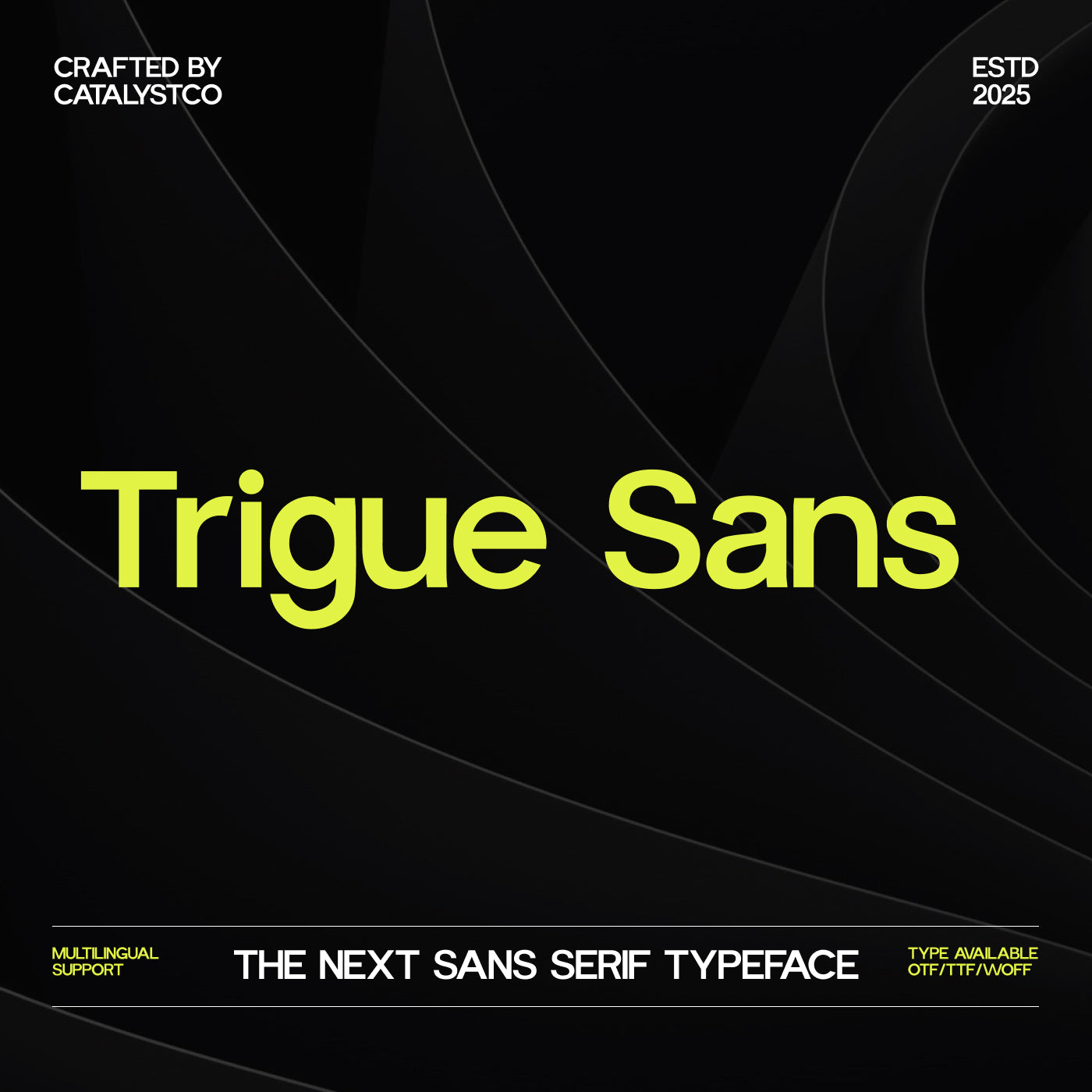 trigue-sans-serif-font-catalystco-studio-1.jpg