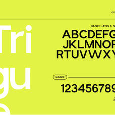 trigue-sans-serif-font-catalystco-studio-2.jpg