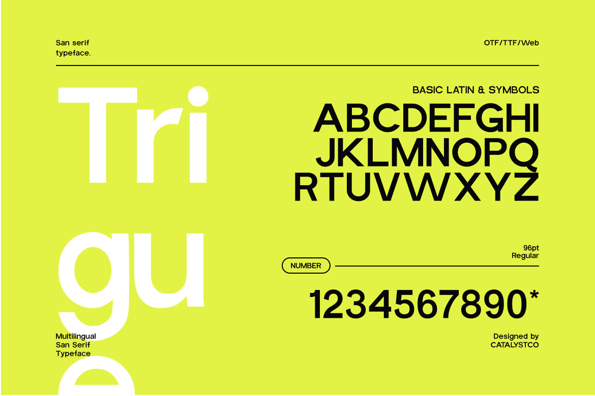 trigue-sans-serif-font-catalystco-studio-2.jpg
