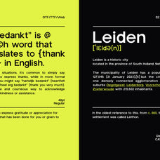 trigue-sans-serif-font-catalystco-studio-3.jpg