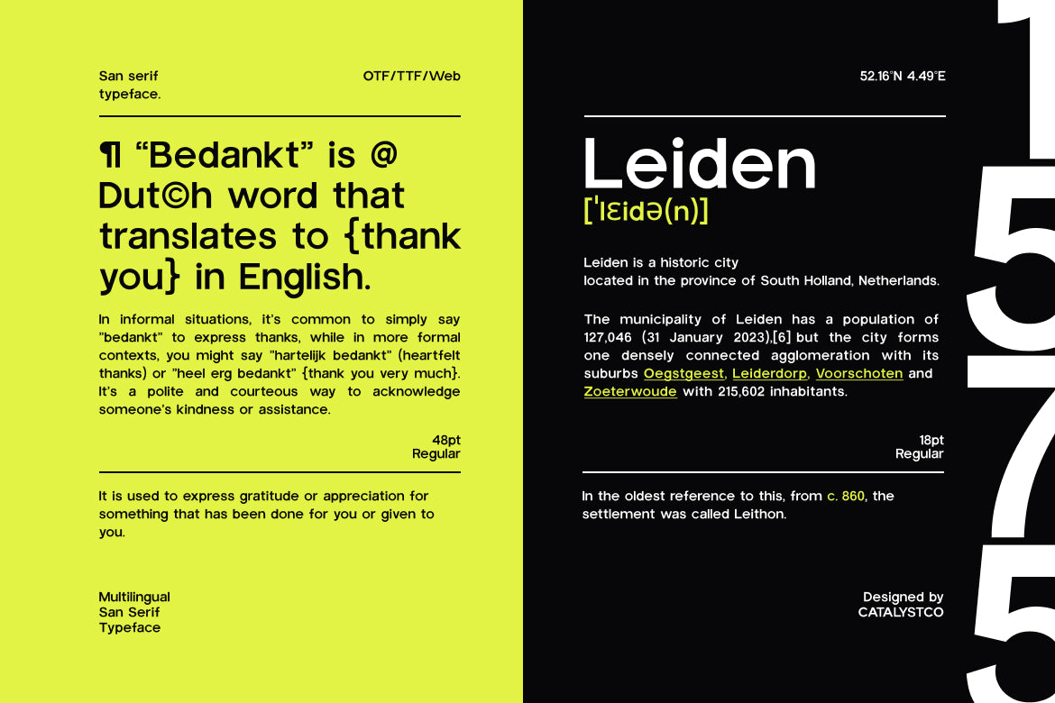 trigue-sans-serif-font-catalystco-studio-3.jpg