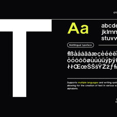 trigue-sans-serif-font-catalystco-studio-4.jpg