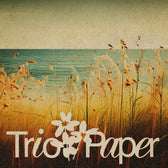 Trio Vintage Paper Textures Photo Effect