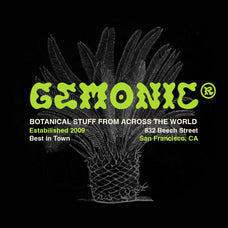 triompe-psychedelic-typeface-craft-supply-co-2.jpg