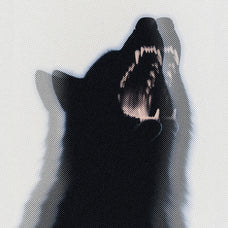 Triple Halftone Screenprint Photo Effect
