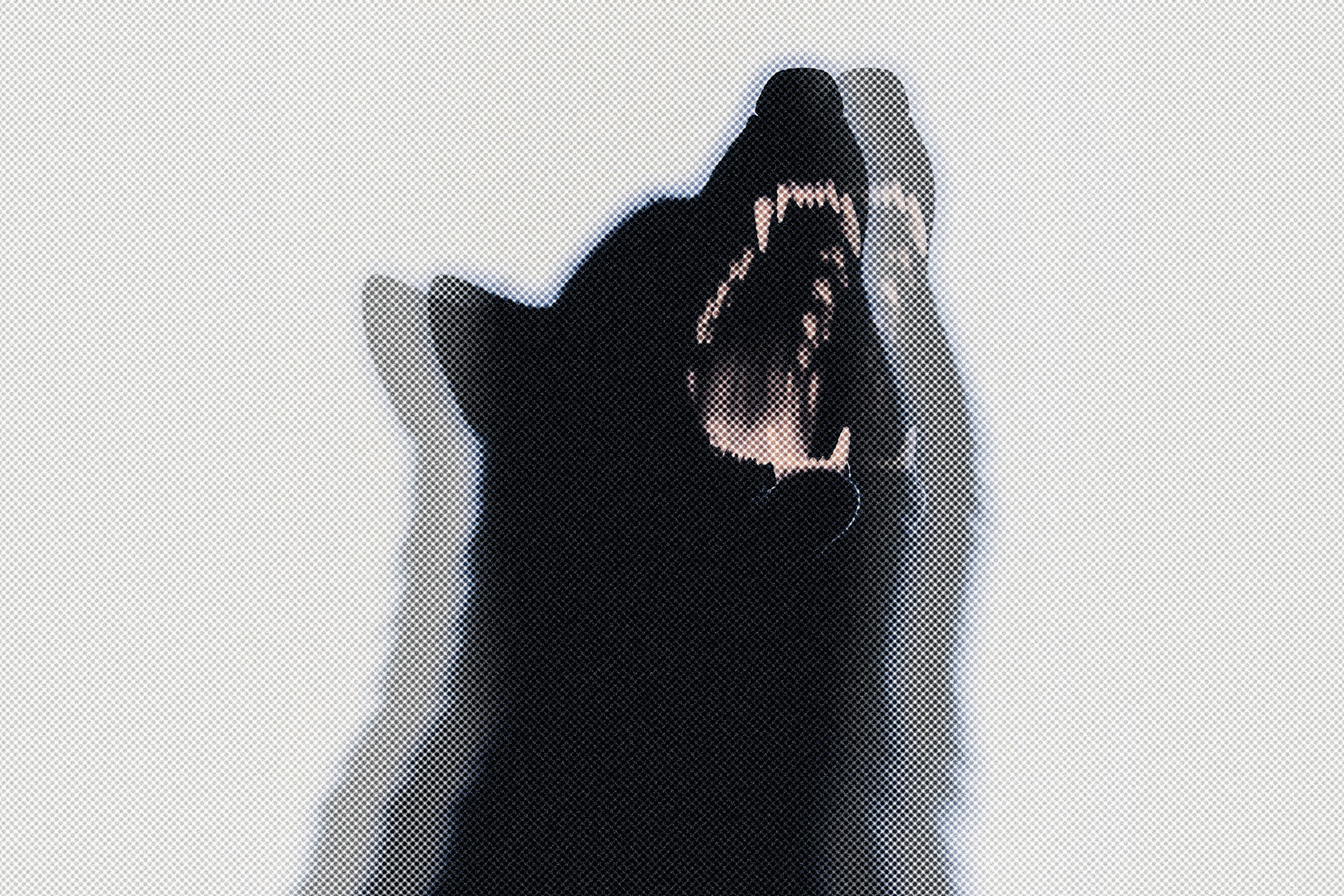 Triple Halftone Screenprint Photo Effect