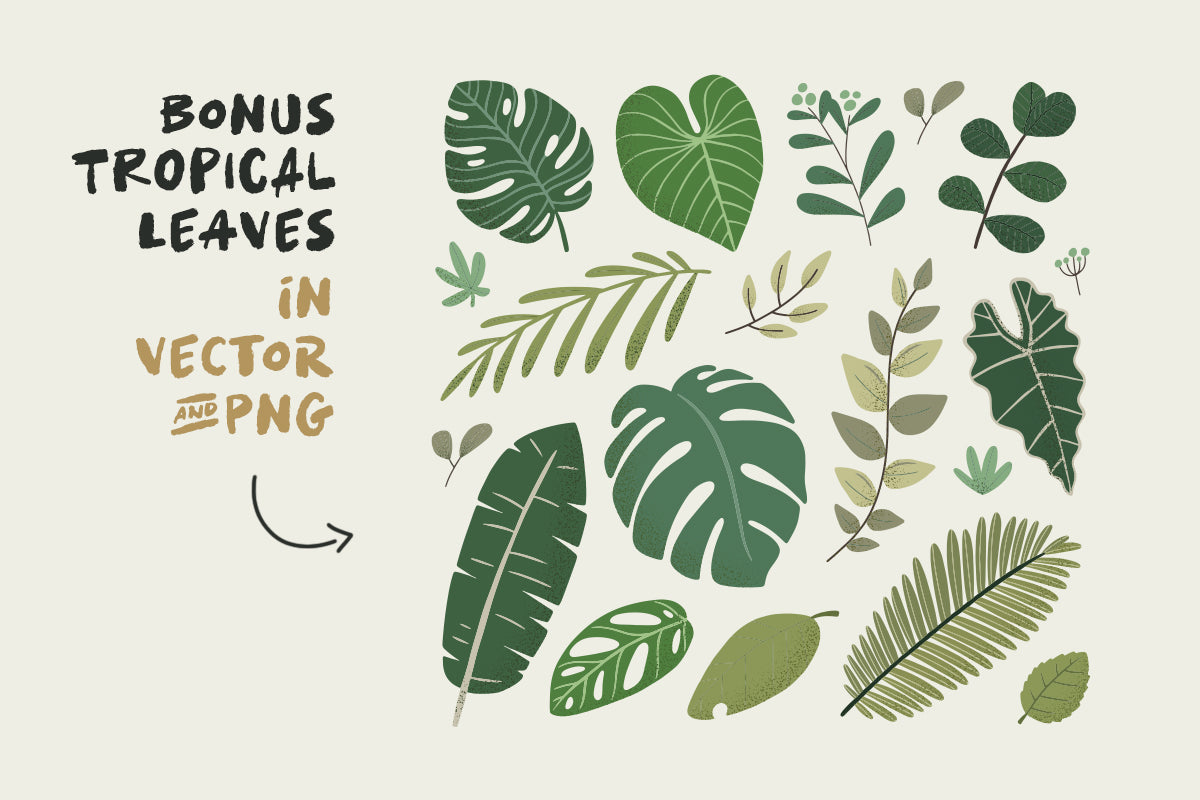 tropical-times-leaves-illustration-sarid-ezra-5.jpg