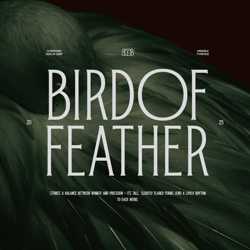 trt-bird-of-feather-elegant-serif-typeface-unknown-creator-1.png